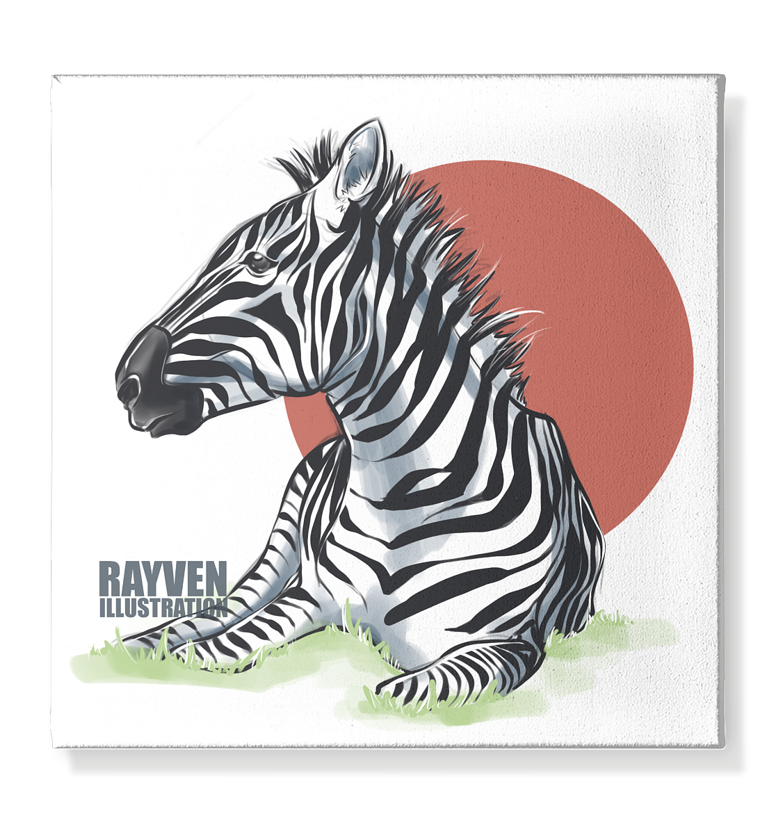 Rayven Illustration | Zebra - Leinwand 40x40cm