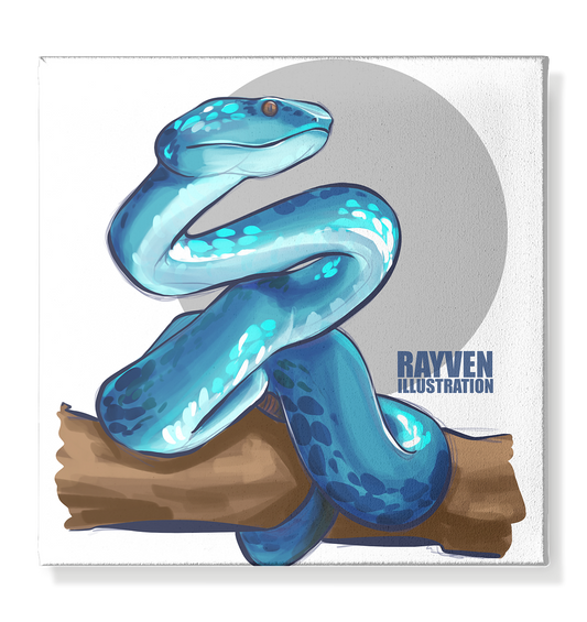 Rayven Illustration | Snake - Leinwand 40x40cm