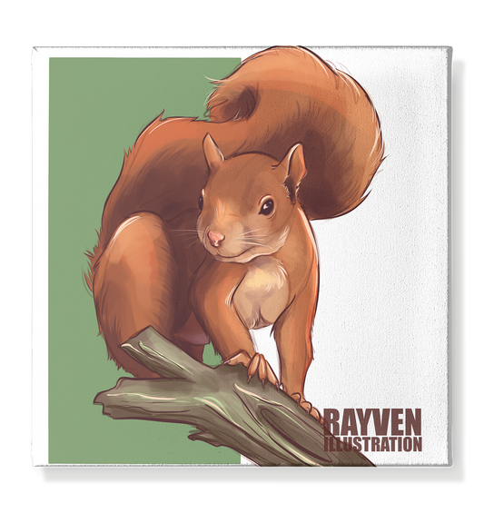 Rayven Illustration | Squirrel - Leinwand 40x40cm