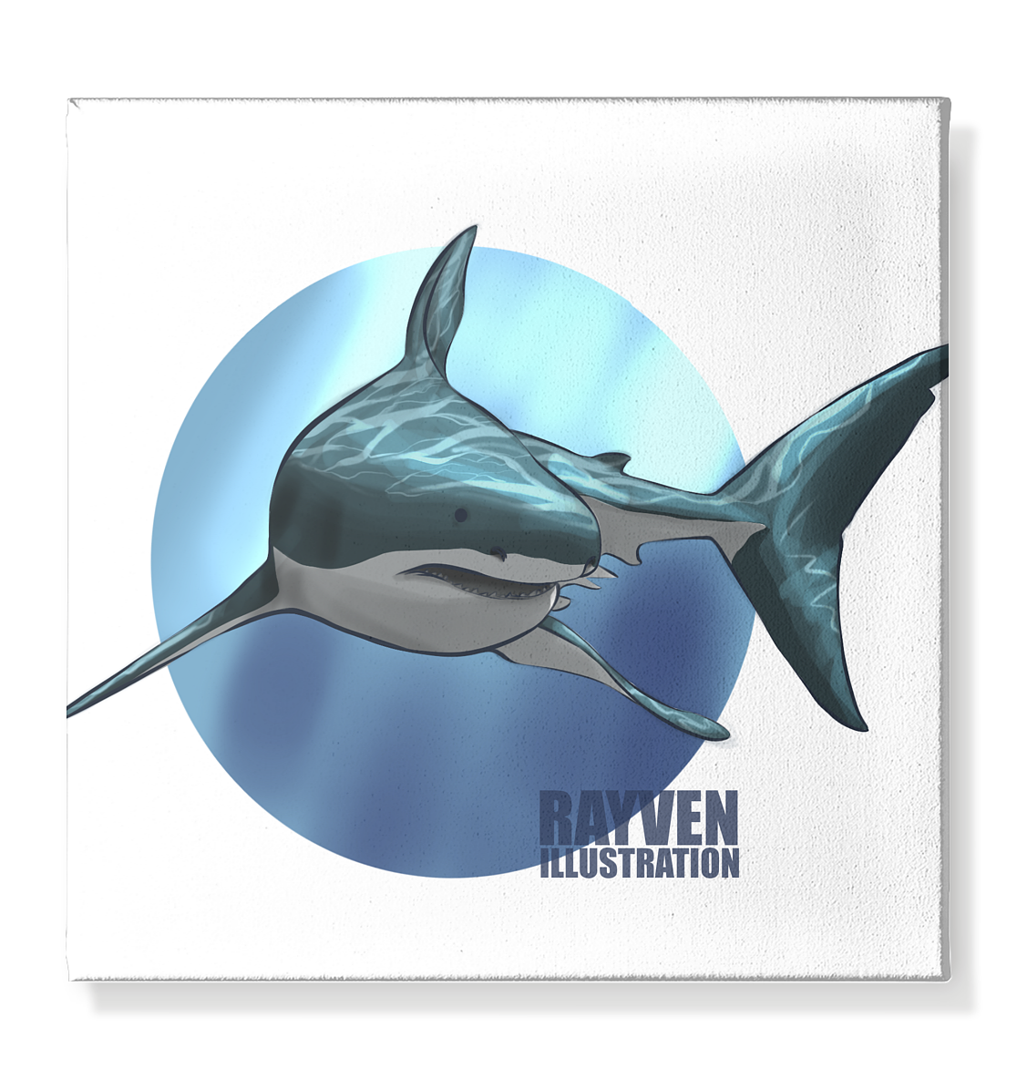 Rayven Illustration | Shark - Leinwand 40x40cm