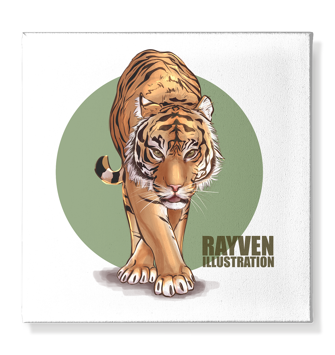 Rayven Illustration | Tiger - Leinwand 40x40cm