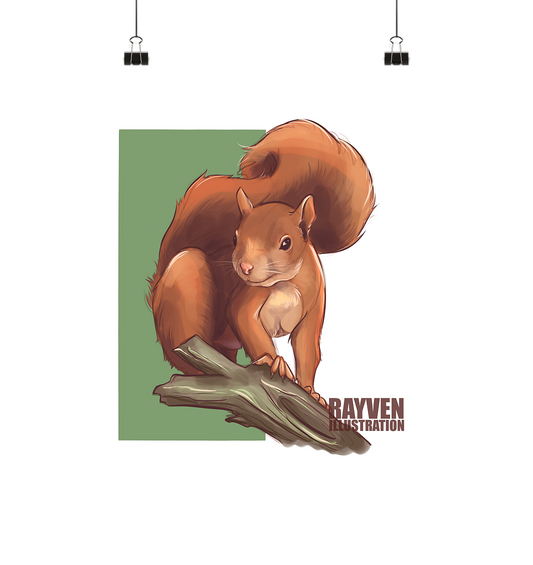 Rayven Illustration | Squirrel - Poster