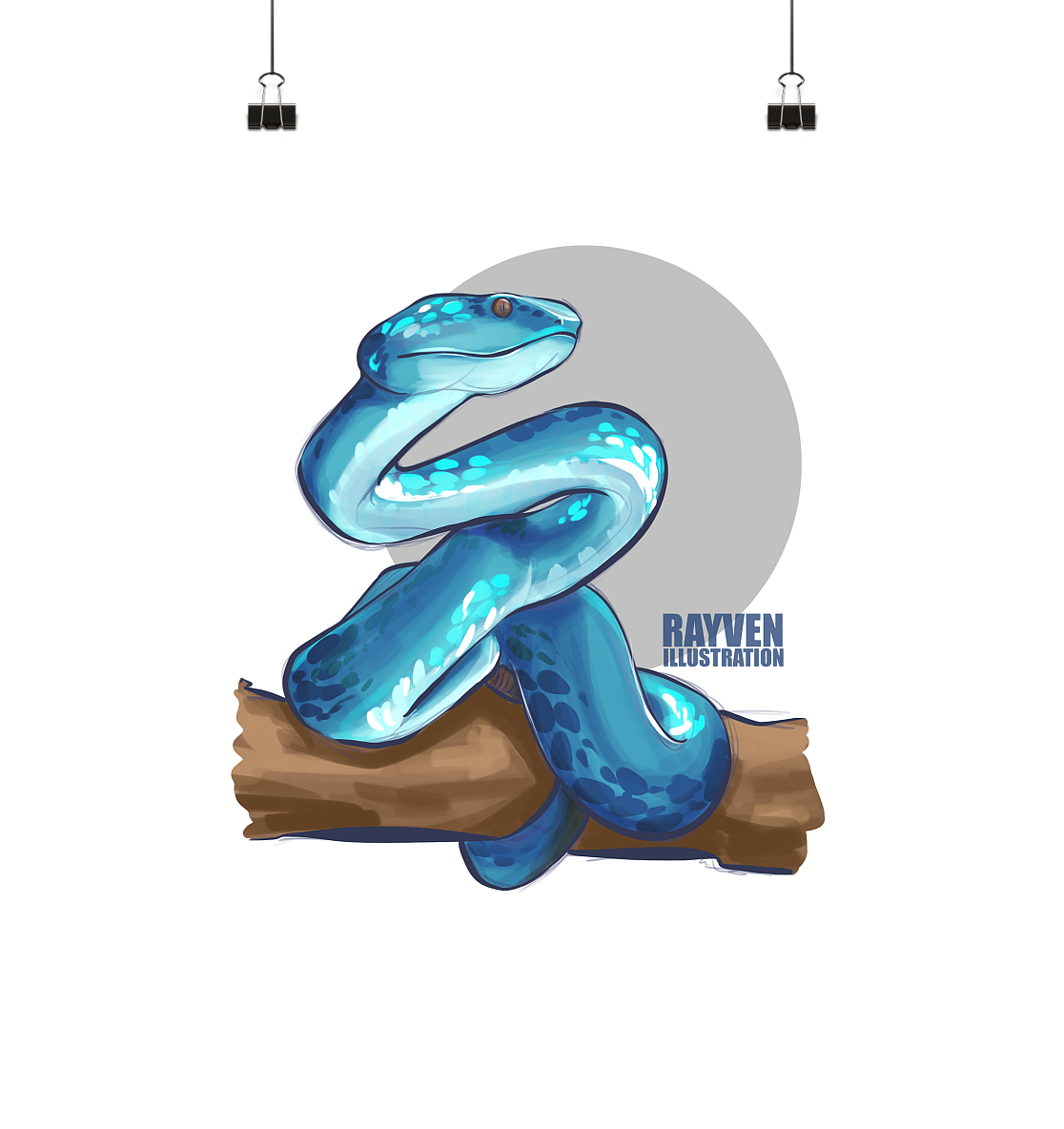 Rayven Illustration | Snake - Poster