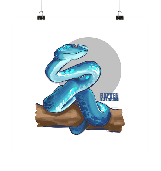 Rayven Illustration | Snake - Poster